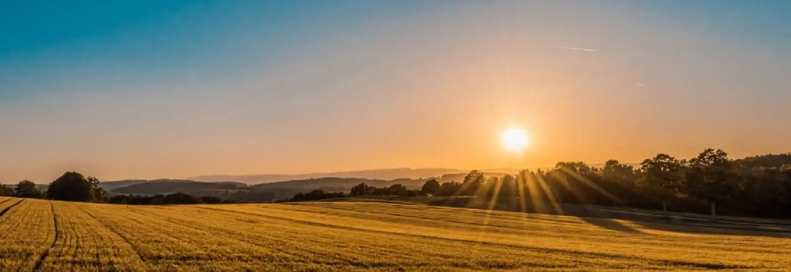 Agriculture Land For Sale | Agriculture Land, Agriculture Land Price