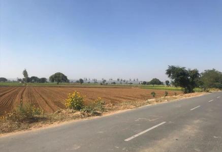 5 Acre Agricultural Land in Kharkhoda Hassangarh