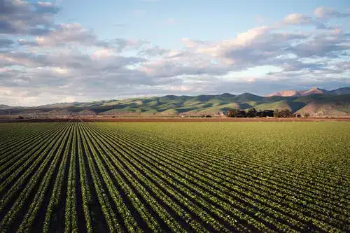 Agriculture Land / Farm Land in Kharkhoda For Sale Agriculture Land / Farm Land in Kharkhoda For Sale